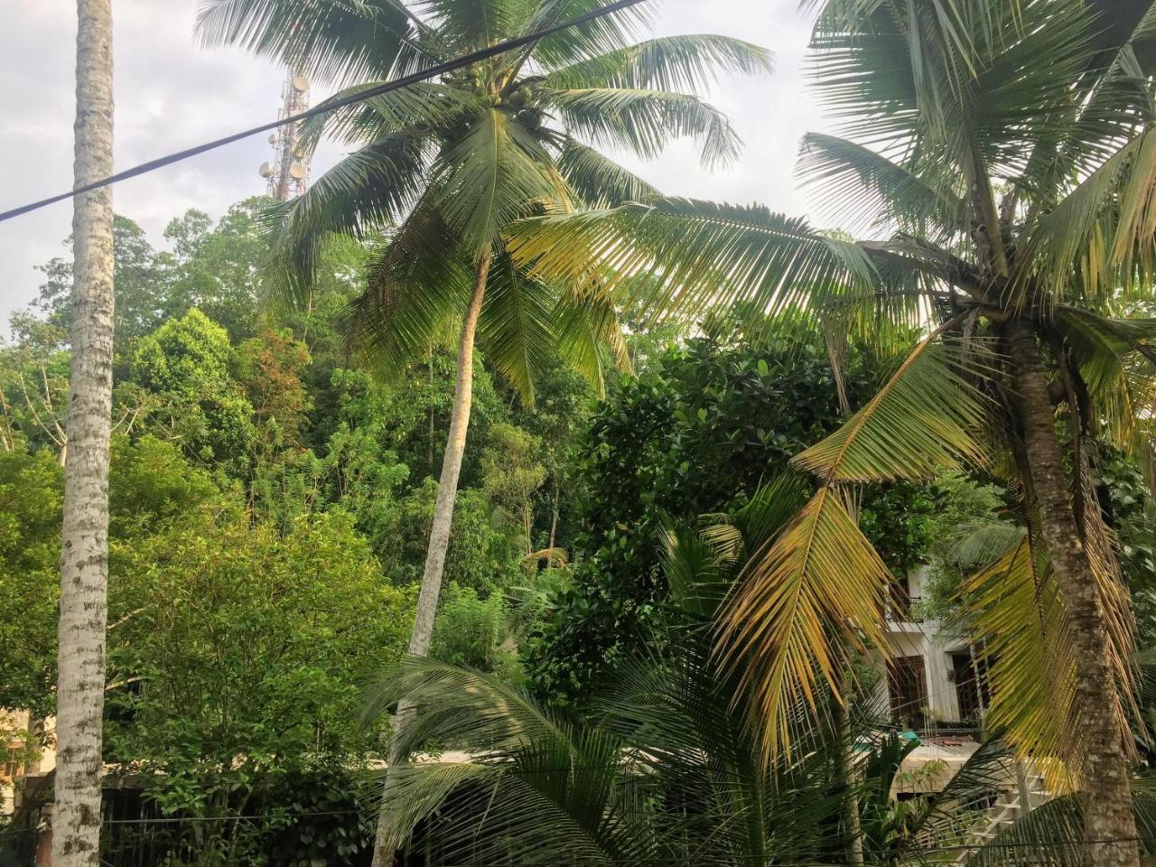 Summer Ridge - Homestay Ratnapura Eksteriør billede